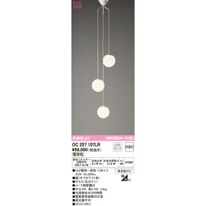 Panasonic（パナソニック） NDW27300W 軒下用LEDダウンライト(電源