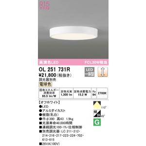 ODELIC（オーデリック） 安心のメーカー保証 オーデリック照明器具