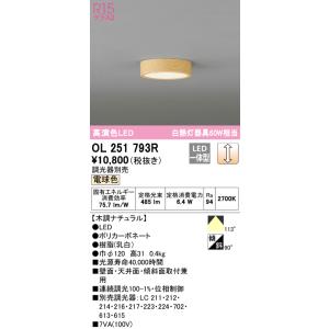 ODELIC（オーデリック） XG454043 水銀灯80W相当 防雨型 昼白色 屋外用