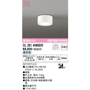 ODELIC（オーデリック） OL291273NR 小型シーリングライト LED一体型