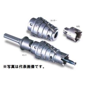 ミヤナガ（MIYANAGA） HEX19080 六角軸超ロングビット 法面工事用 19.0
