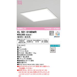 Panasonic（パナソニック） NYT1033RZLE9 350形LEDスポット電球