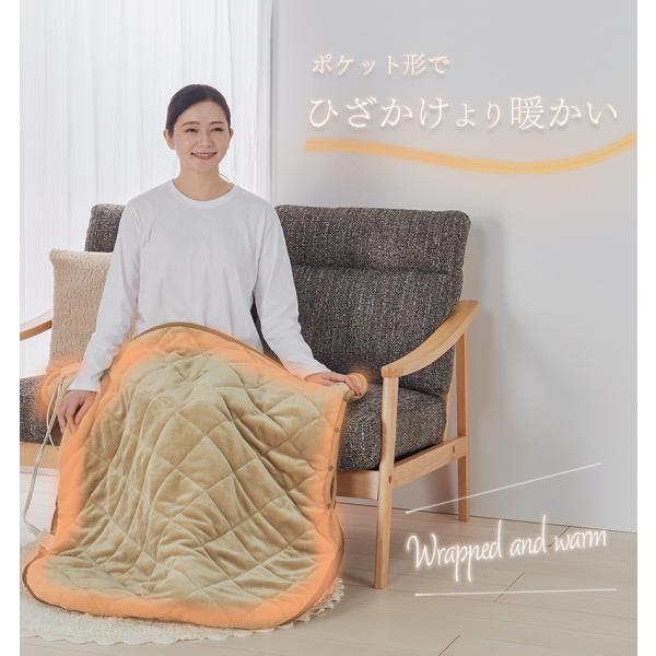 ユアサプライムス YYB-P55E あったかポケット暖 モカ (コントローラーを外して丸洗い可能) ...