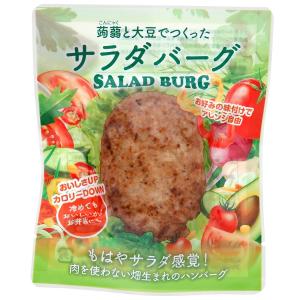 サラダバーグ 90g　プラントベース 植物由来 グルテンフリー レトルト 非常食