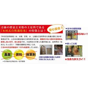 奇跡の酵素玄米粉(奇跡のリンゴ 木村式自然栽培...の詳細画像5