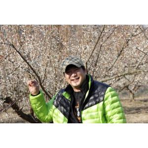 自然栽培 南高梅 梅干し 250g 無添加 農...の詳細画像2