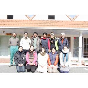 自然栽培 南高梅 梅干し 250g 無添加 農...の詳細画像3