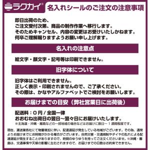 【名入れ】のし シール 熨斗 御挨拶 定番 デ...の詳細画像2