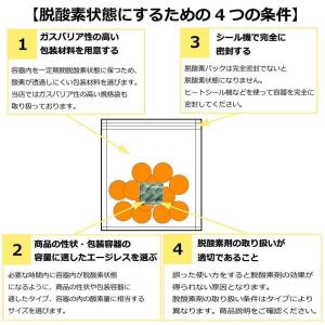 脱酸素剤 エージレス ZP-100 10個×2...の詳細画像3