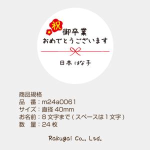 【名入れ】お祝い おめでとう ラッピング シー...の詳細画像3