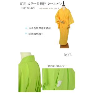 長襦袢 夏用 カラー長襦袢 クールパス 衿芯通...の詳細画像1
