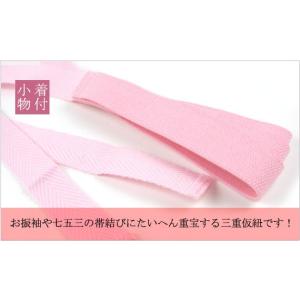 12点までメール便OK 三重仮紐 三重紐 トリ...の詳細画像1
