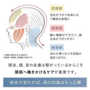 電動頭皮ブラシ コードレス EMS RF温感 ...の詳細画像4
