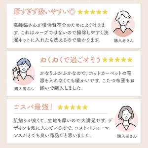 ラグ おしゃれ かわいい 3畳 カーペット グ...の詳細画像5