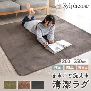 セール10%OFF ラグ 3畳 カーペット 洗え...の商品画像