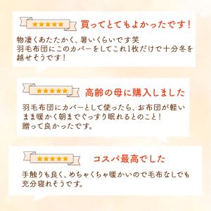 布団カバー あったか セミダブル 冬 秋 フラ...の詳細画像3