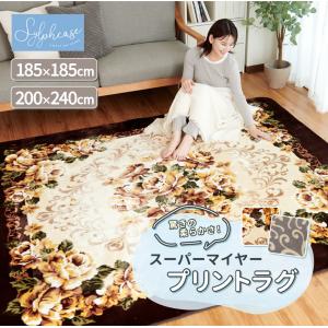 33%OFF ラグ 2畳 ラグマット センターラ...の商品画像
