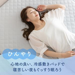 敷きパッド クイーン 160×200cm リバ...の詳細画像2