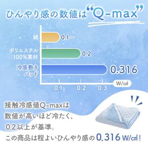 敷きパッド クイーン 160×200cm リバ...の詳細画像5