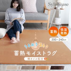 ラグ 洗える 冬 冬用 暖かい ラグマット 蓄熱...の商品画像