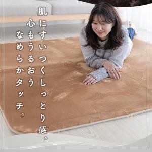 ラグ 洗える 冬 冬用 暖かい ラグマット 蓄...の詳細画像2