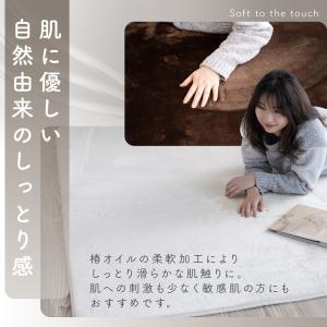 ラグ 洗える 冬 冬用 暖かい ラグマット 蓄...の詳細画像5