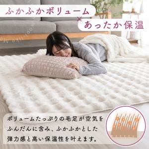 ラグ 洗える カーペット ラグマット 冬 冬用...の詳細画像3