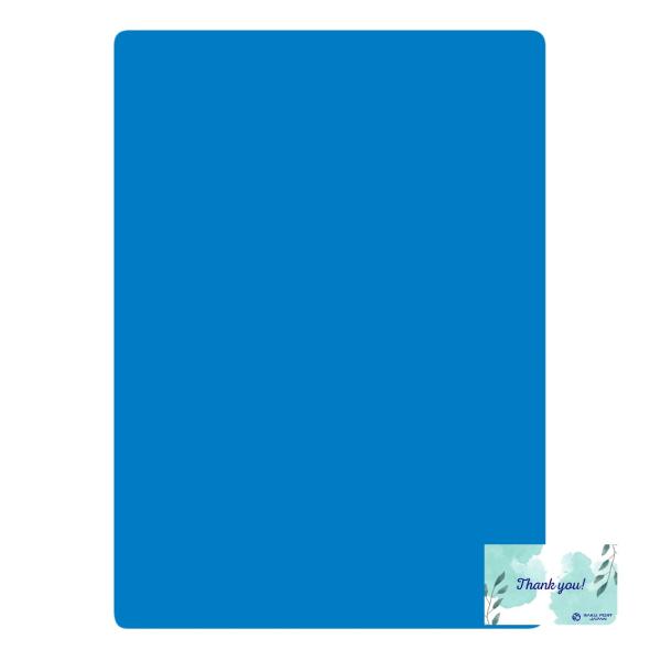 共栄プラスチック 色透明下敷き A4 ハード ブルー したじき 青 RPJセット NO.1377-B