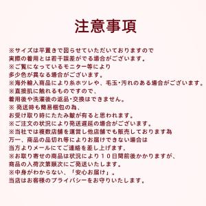 セクシーネグリジェ ランジェリー大人ルームウェ...の詳細画像3