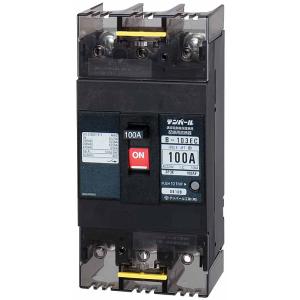 テンパール工業 B103EC06 配線用遮断器 60A(15kW)