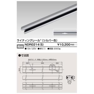 東芝ライテック NDR0214(S) 6形レール4mシルバー TOSHIBA (法人限定)