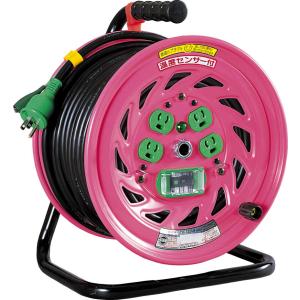日動工業 R-A600N-A 正弦波インバータ DC12V NICHIDO : 住設と電材の洛 