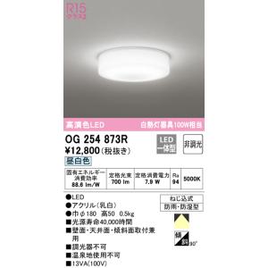 (送料無料) オーデリック OG254873R バスルームライト LED一体型 昼白色 非調光 ODELIC｜rakurakumarket
