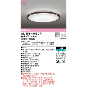 ODELIC（オーデリック） OL251455R シーリングライト LED一体型 電球色