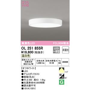 ODELIC（オーデリック） OL251735R 小型シーリングライト LED一体型