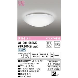 ODELIC OL 291 089 シーリングライト ODELIC（オーデリック） OL291089NR 小型シーリングライト LEDランプ