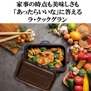 パロマ PGDL-50BM グリル調理器 ラ・...の詳細画像1