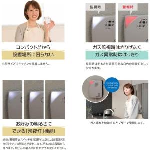 矢崎エナジーシステム YF-005N 単体型L...の詳細画像2