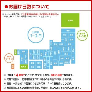 当店限定+10% 【2ケースセット】やかんの麦...の詳細画像2