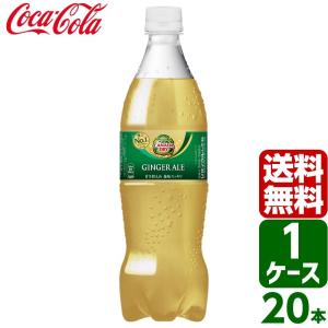 カナダドライ ジンジャーエール 700ml PET 1ケース×20本入 送料無料｜rakushindenki