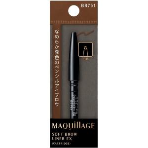 資生堂 ピエヌ デュアルブロークリエーター ペンシル BR733