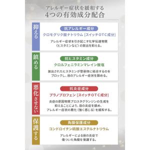 (第2類医薬品)千寿製薬 マイティア アルピタ...の詳細画像3