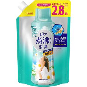 P&G レノア 煮沸レベル消臭 抗菌ビーズ 花とおひさまの香り 詰替 超特大 1180ml｜rakushindenki