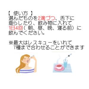バッチフラワーレメディ オリーブ アルコールベ...の詳細画像2