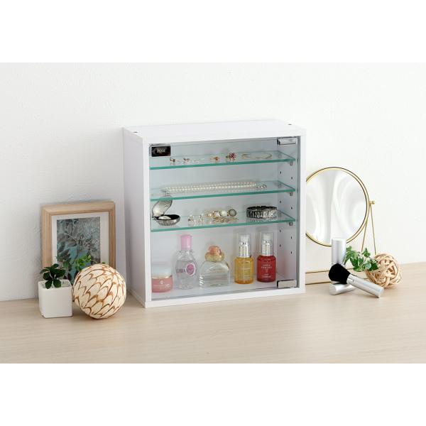 ラック 棚 扉付き ガラス コレクション 収納 キャビネット 推し活 フィギュア 浅型タイプ