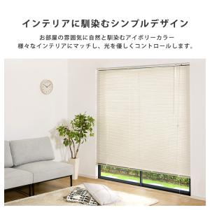 ブラインド 遮光 カーテンレール取付可 遮熱 ...の詳細画像4