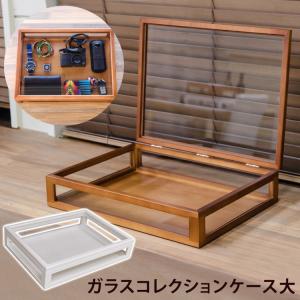 木製ガラスケース コレクションケース 卓上 木製 ガラス 完成品 時計 小型 メガネ