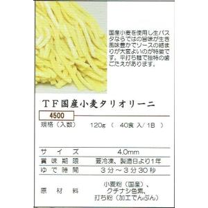 プロ用・冷凍生パスタ・TF国産小麦タリオリーニ 　4,0mm    120gｘ80食｜rakutin