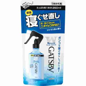ギャツビー　寝ぐせなおしウォーター詰替　２５０ｍＬ