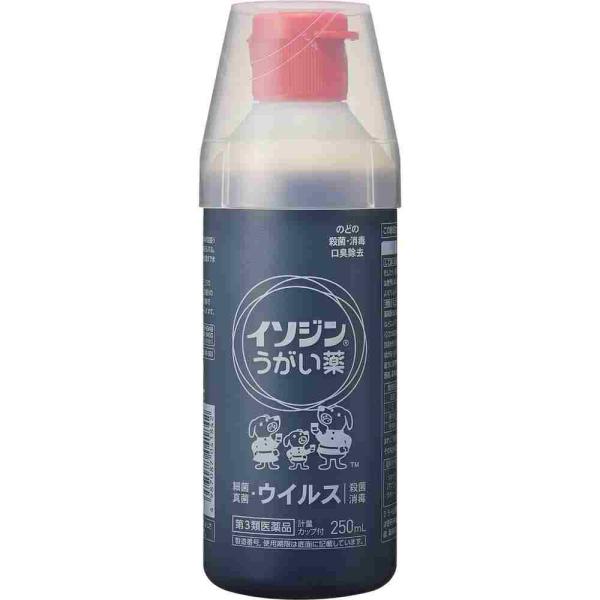 数量限定販売　第3類医薬品 イソジンうがい薬　２５０ｍＬ（M）